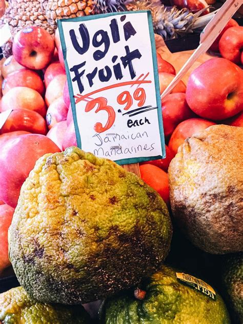 Jamaican Ugli Fruit What Is The Ugly Orange