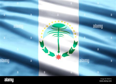 Neuquen Stylish Waving And Closeup Flag Illustration Perfect For