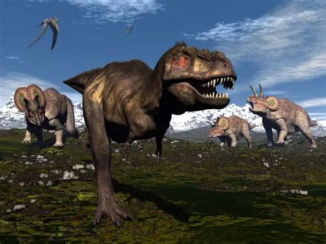 Sue Revealed: Unraveling Facts About The Famous Dinosaur