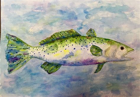 Speckled Trout Drawing