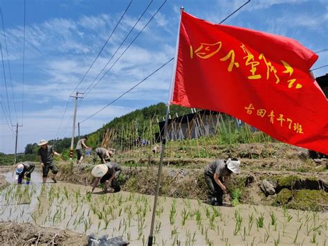 【青年干部“四下基层”实践锻炼】田间地头忙农耕 乡村振兴谋良策澎湃号·政务澎湃新闻 The Paper