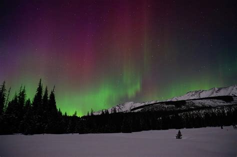 Tourism Canmore Kananaskis On Twitter The Aurora Borealis Has Been