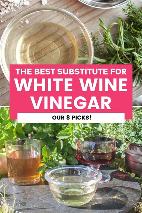 The Best Substitute For White Wine Vinegar Our 8 Picks In 2023