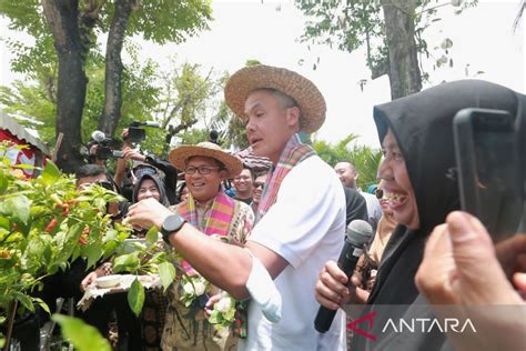 Wali Kota Makassar Ajak Ganjar Pranowo Panen Cabai ANTARA News