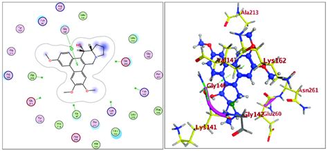 Overlay Of Compound 3 Bound To The Active Site Of Atp Binding Pocket