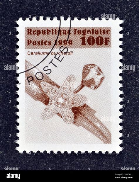 Cancelled Postage Stamp Printed By Togo That Shows Caralluma