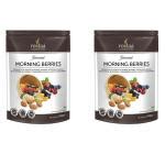 Buy Rostaa Morning Berries G Pack Of Online At Best Prices In