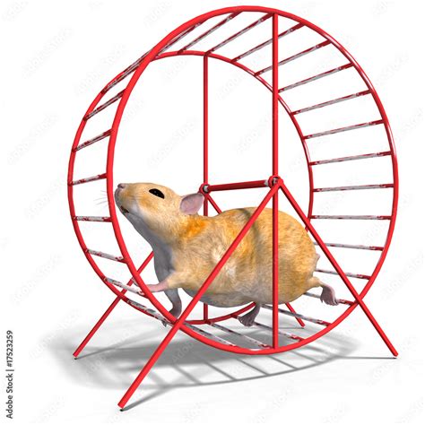 Cute Hamster In A Hamster Wheel Stock Illustration Adobe Stock