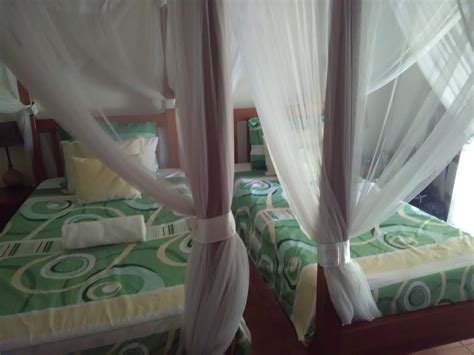 Airport Guesthouse | Hotel Photos & Prices (Uganda Safaris) 2024