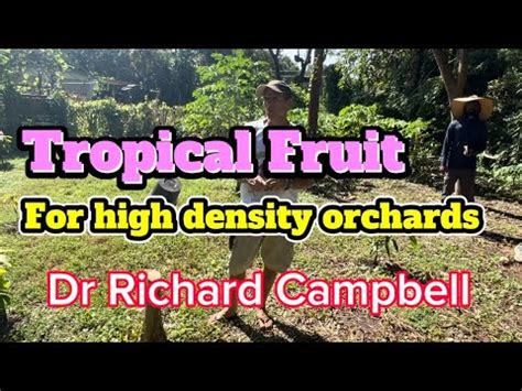 Dr Richard Campbell Tropical Fruit For High Density Orchards YouTube