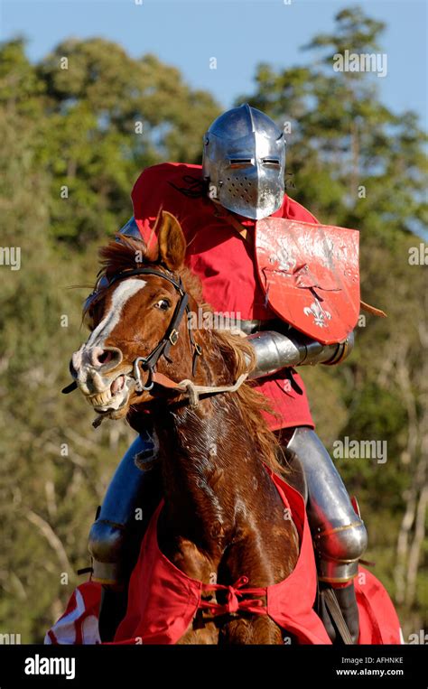 Medieval Knight On Horseback Stock Photo Royalty Free Image 7973117