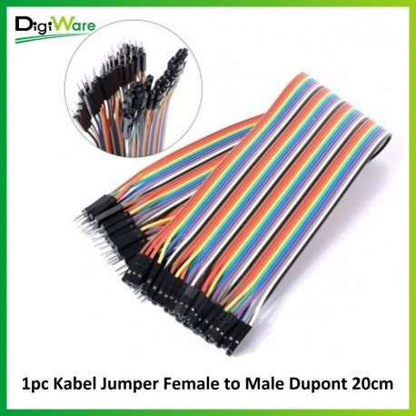 Kabel Jumper Female To Male Dupont 20cm Digiware Store