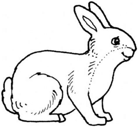 12+ Realistic Rabbit Coloring Pages