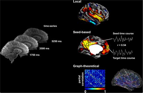 Methods To Assess Resting State Brain Function Resting State Fmri Time