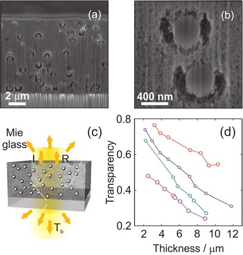 A Dual Column Focused Ion Beam Secondary Electron Microscopy Image Of