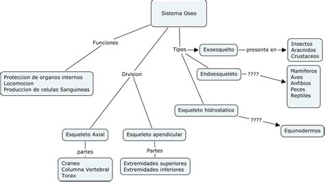 Sistema Oseo Sistema Oseo