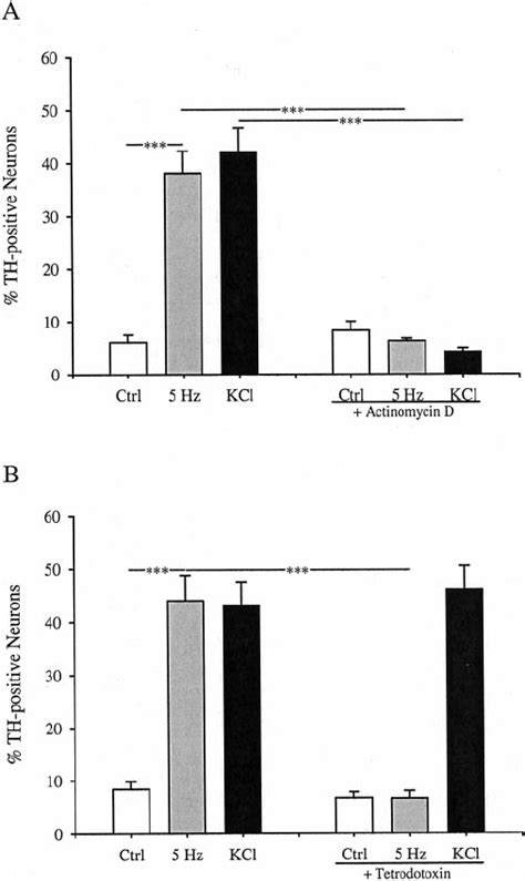 Th Induction By Electrical Stimulation Requires Mrna Synthe Sis A