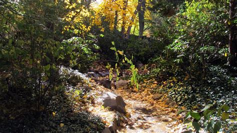 Rock Garden (U.S. National Park Service)