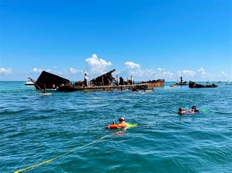 Moreton Bay: Snorkel And Swimming Tour