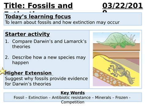 Gcse Biology Fossils Extinction And Antibiotic Resistance Lesson