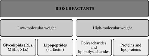 Classification Of Biosurfactants Rls Rhamnolipids Mels