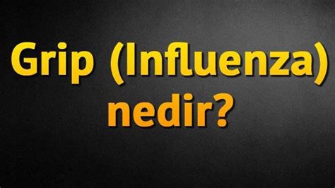 Grip Influenza Nedir Sa L K Haberleri