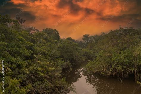 Reflection Of A Sunset By A Lagoon Inside The Amazon Rainforest Basin