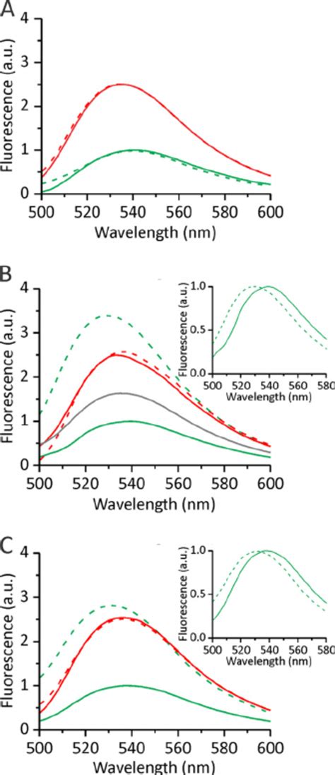 Nbd Steady State Fluorescence Emission Spectra Nbd Fluorescence Of ϳ Download Scientific