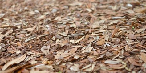 Best Lawn Mowers For Mulching Leaves The Ultimate Guide