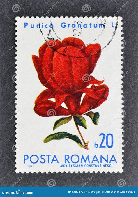 Cancelled Postage Stamp Printed By Romania That Shows Pomegranate