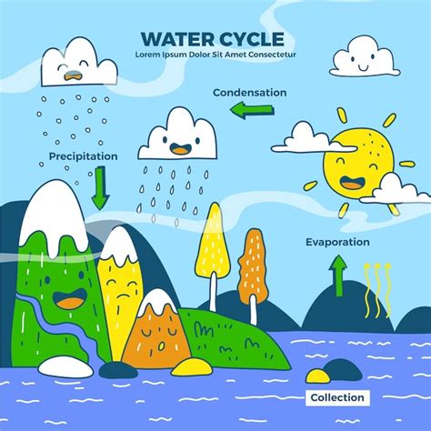 Hand Drawn Water Cycle Vectors & Illustrations for Free Download