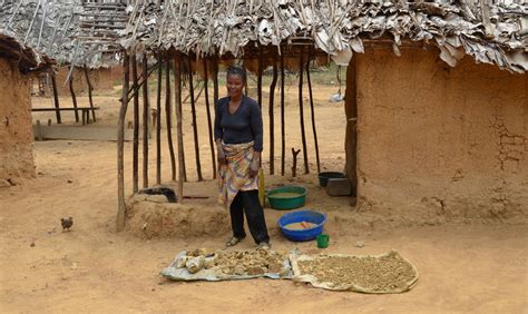 Women In Mining In Africa Gender Assessments And Equality Impact