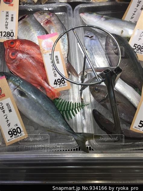 スーパーの鮮魚コーナーに並ぶ魚たちの写真・画像素材 934166 Snapmart（スナップマート）