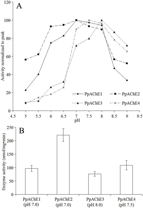 Optimal Ph Conditions For Different Recombinant Enzymes A Enzyme