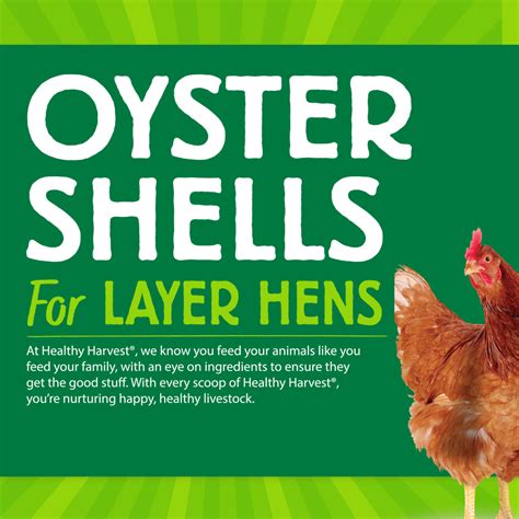 Oyster Shells 5 Lb Bag Calcium Source For Poultry Healthy Harvest Healthy Harvest Feed