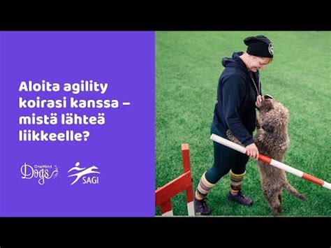 Webinaari Aloita agility koirasi kanssa mistä lähteä liikkeelle