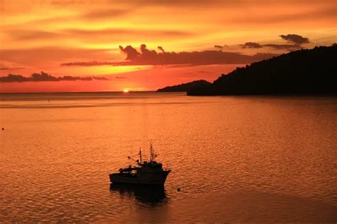 Top 10 Best Kota Kinabalu Tour Options - Fireflies, Night Cruise And ...