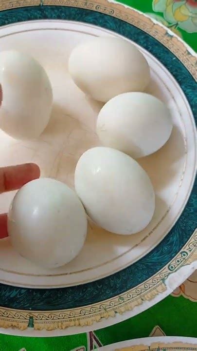 🥚🌈duck Eggs 🥚🌈satisfying Video Viral Trending Shortvideo Shorts