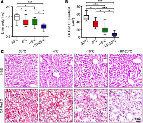 Liver Steatosis In Hfd Fed Obese Mice A C Weight Hande Staining And