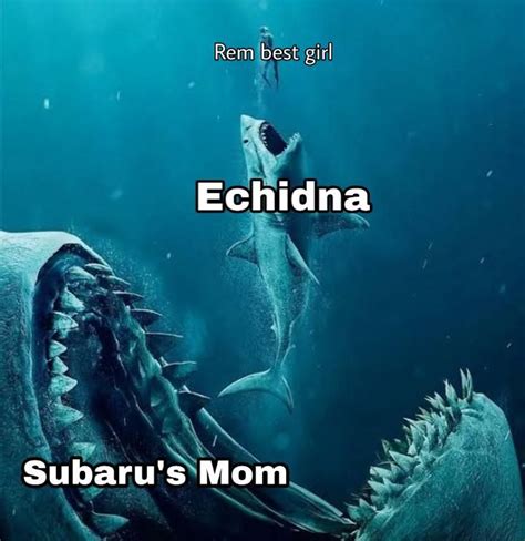 pin   nut    anime funny funny memes memes