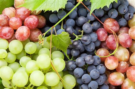 All About Grapes - How to Pick, Prepare & Store | Healthy Family Project