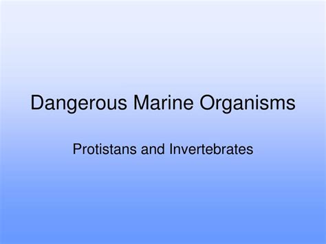 Ppt Dangerous Marine Organisms Powerpoint Presentation Free Download