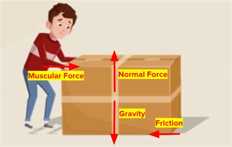 A Boy Is Pushing A Box On A Rough Floor As Shown List All The Contact And Non Contact Forces