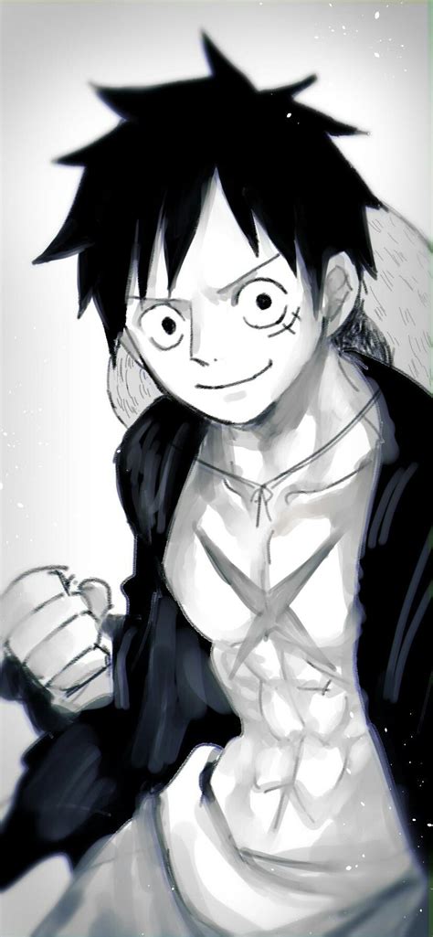 Monkey D Luffy | One Piece Character