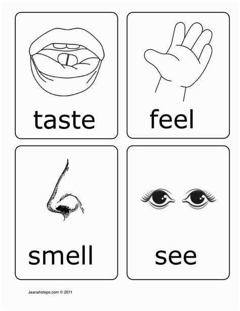 Five Senses Printable Pdf