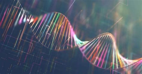 Beneficial Mutations Examples In Humans