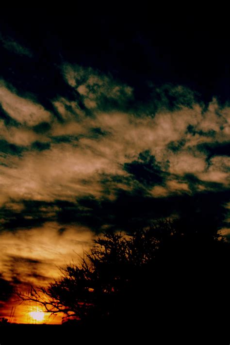 Backyard In Dark By Leprosina On Deviantart