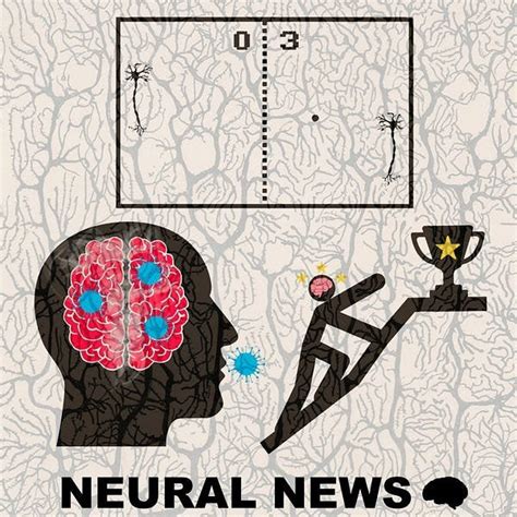 Summary of recent neuroscience discoveries: : r/sciences