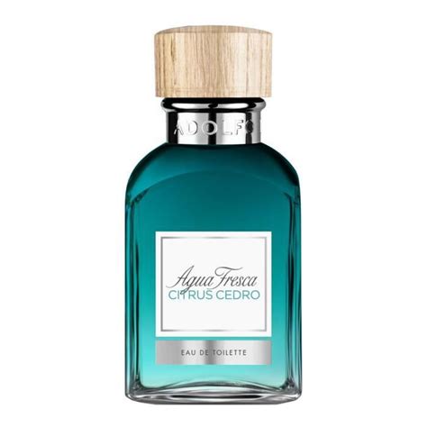 Un Perfume Masculino Fresco Y Amaderado Adolfo Dominguez Agua Fresca