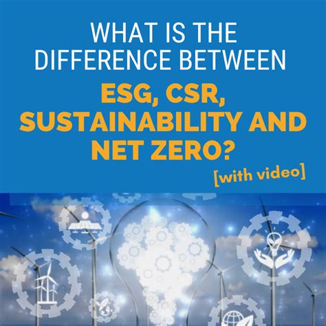 What Is The Difference Between ESG CSR Sustainability And Net Zero